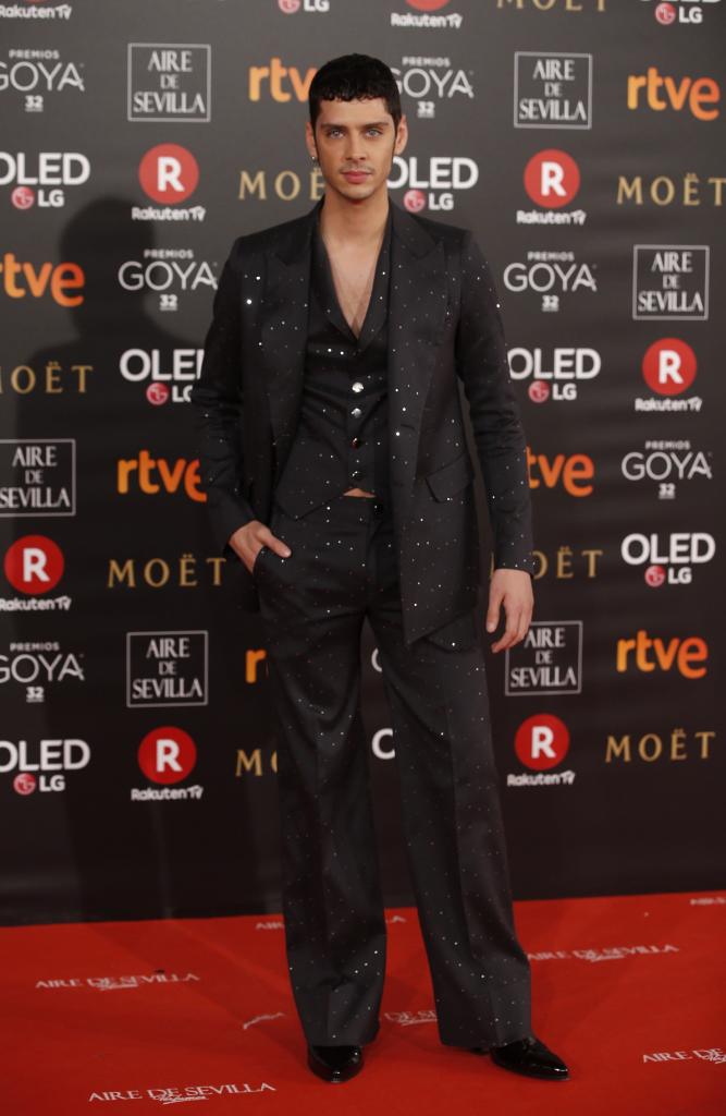 Las imágenes de la alfombra roja de los Premios Goya 2018