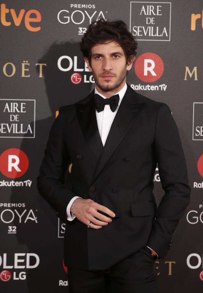 Las imágenes de la alfombra roja de los Premios Goya 2018