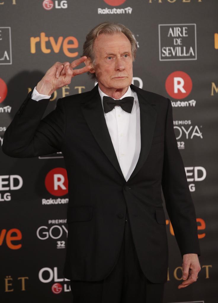 Las imágenes de la alfombra roja de los Premios Goya 2018