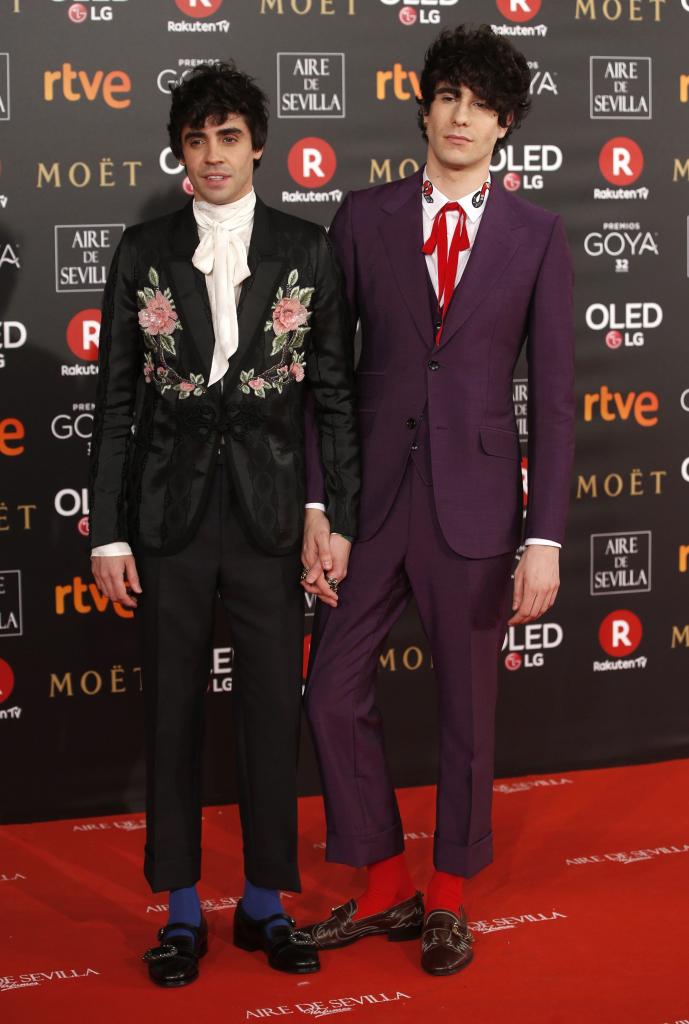 Las imágenes de la alfombra roja de los Premios Goya 2018
