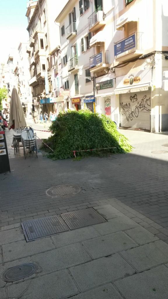 Download Condomini dun dormitori moll de la platja de la murta For iPhone Free Condomini Dun Dormitori Moll De La Platja De La Murta