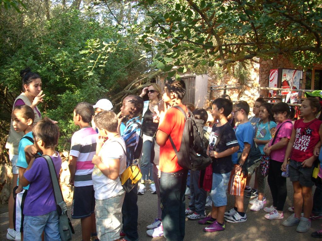 CP Els Tamarells en Natura Parc