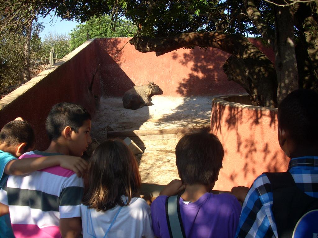 CP Els Tamarells en Natura Parc