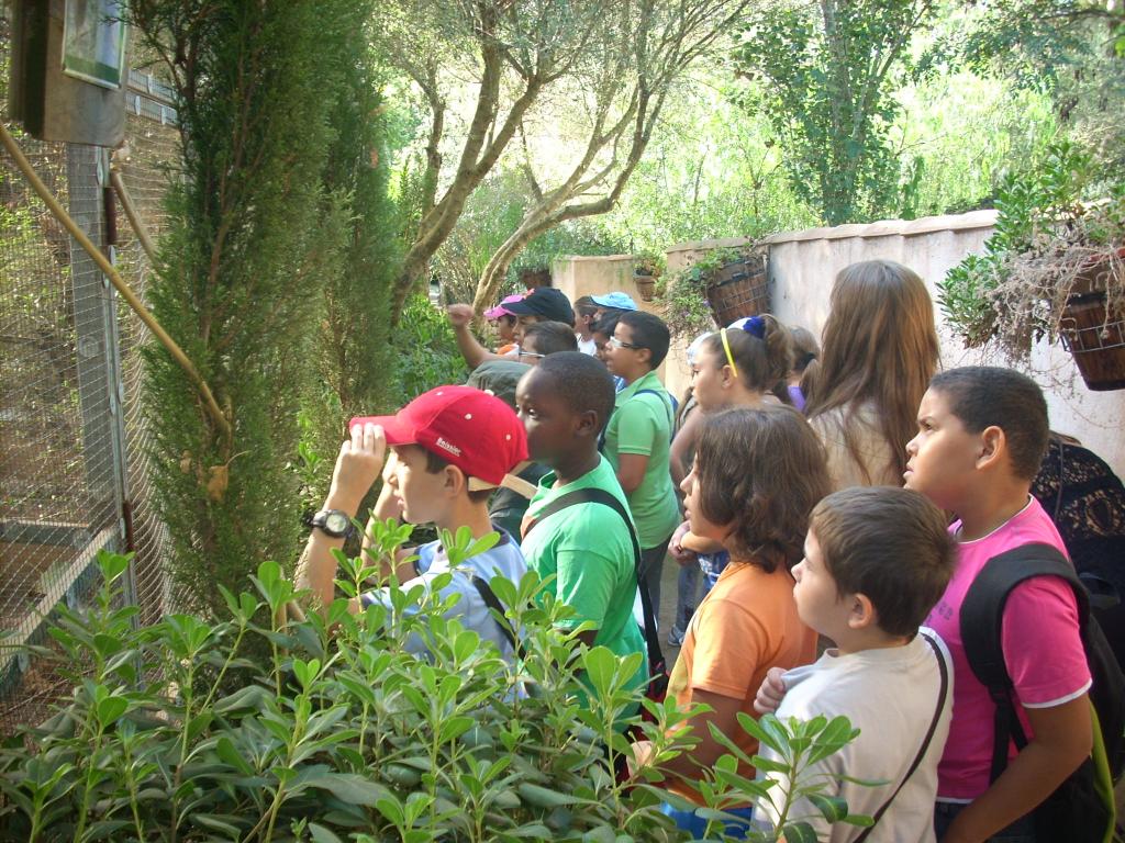 CP Els Tamarells en Natura Parc