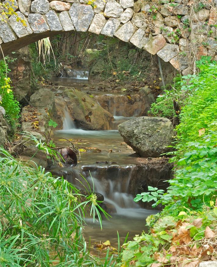 Torrent fresc