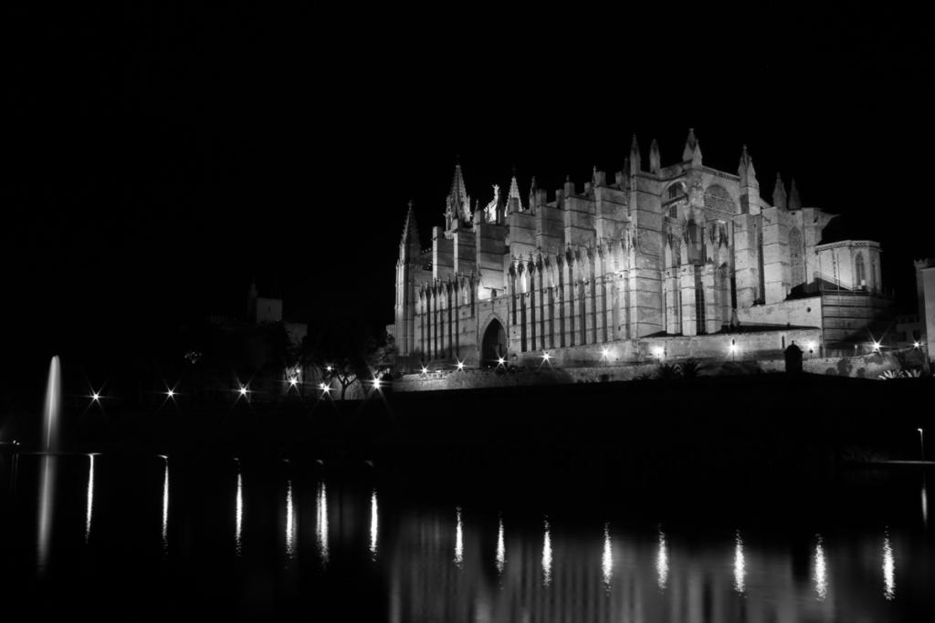 Fosca negre a la Seu