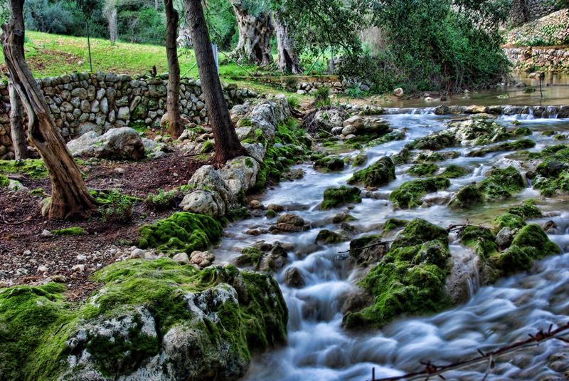 Torrent de Coanegra. (Santa Maria del Camí)