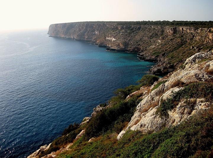 Punta Llobera (en los acantilados entre Punta Llobera y es Cap Blanc)
