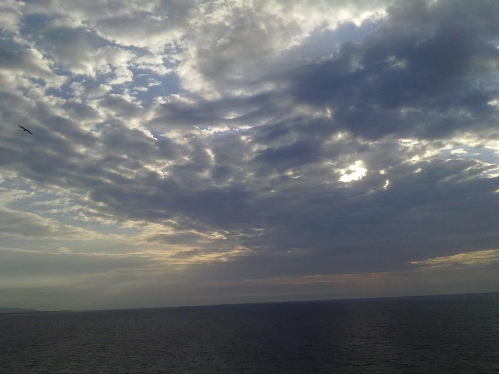 Volando