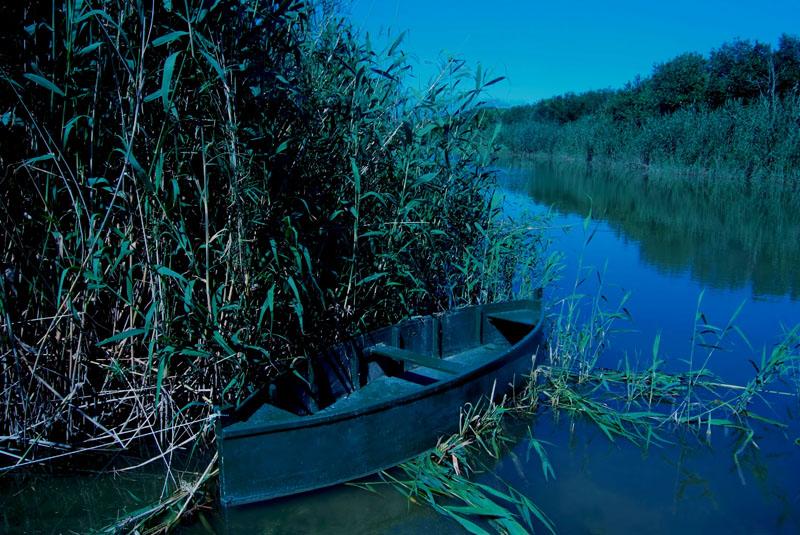 S´Albufera