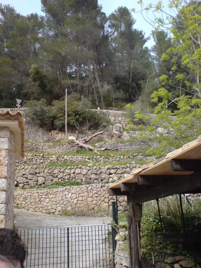 La granja