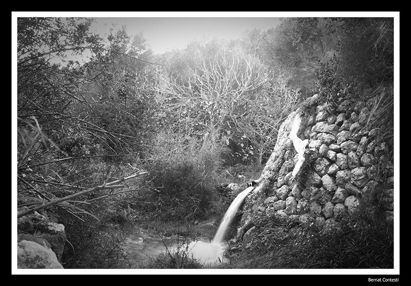 Tenebra d'Alaró