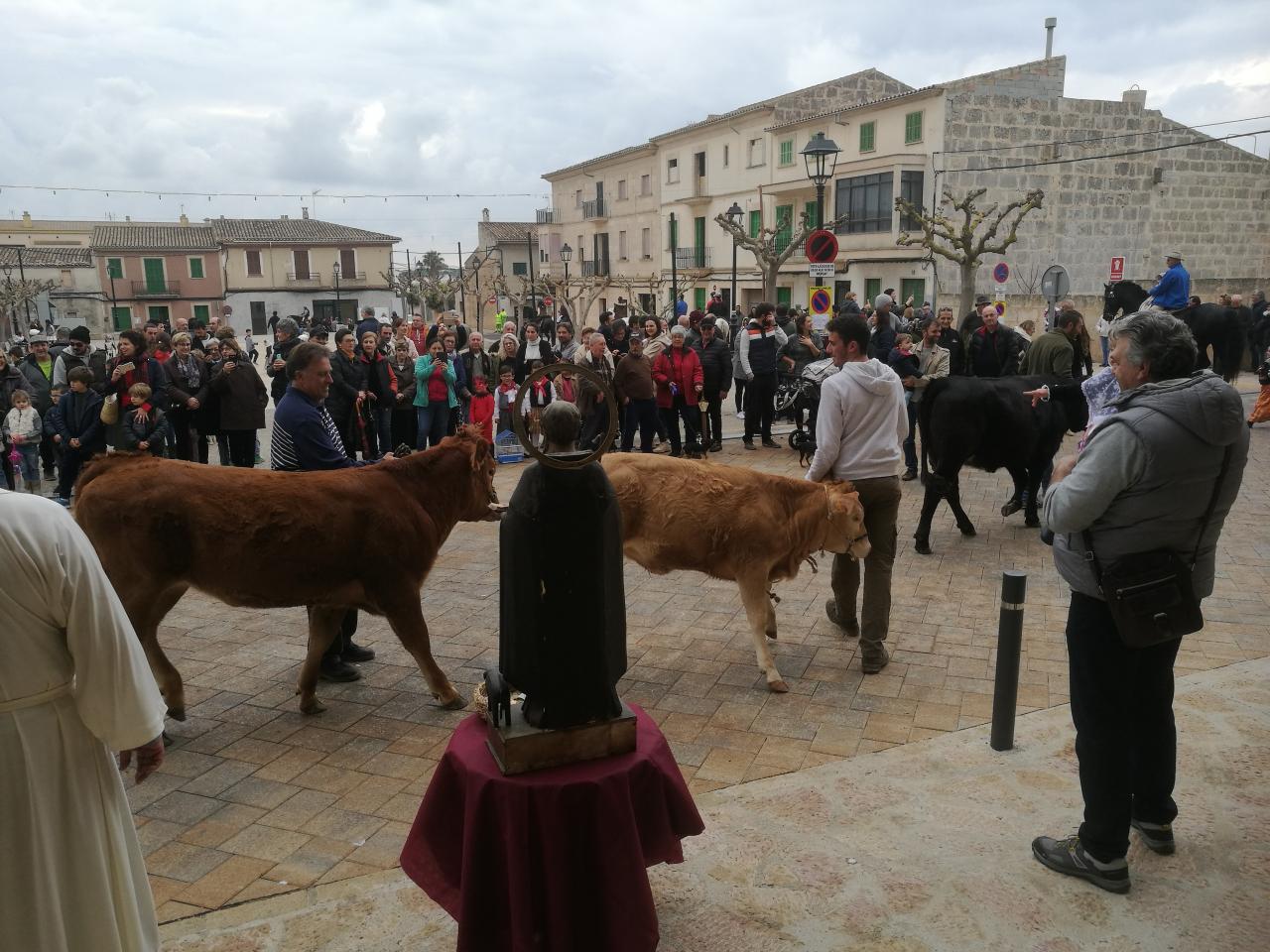 Festes de Sant Antoni 2019