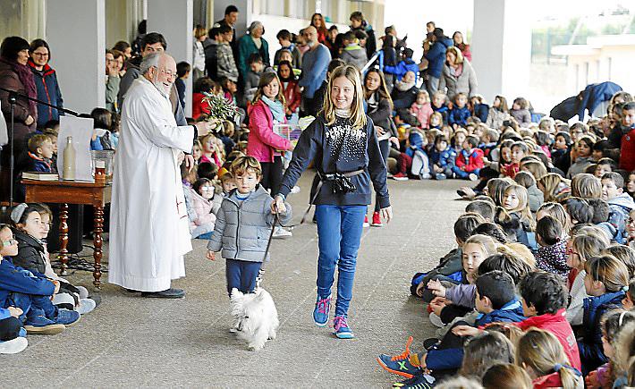 Festes de Sant Antoni 2019