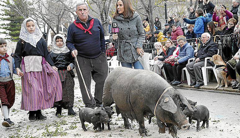 Festes de Sant Antoni 2019