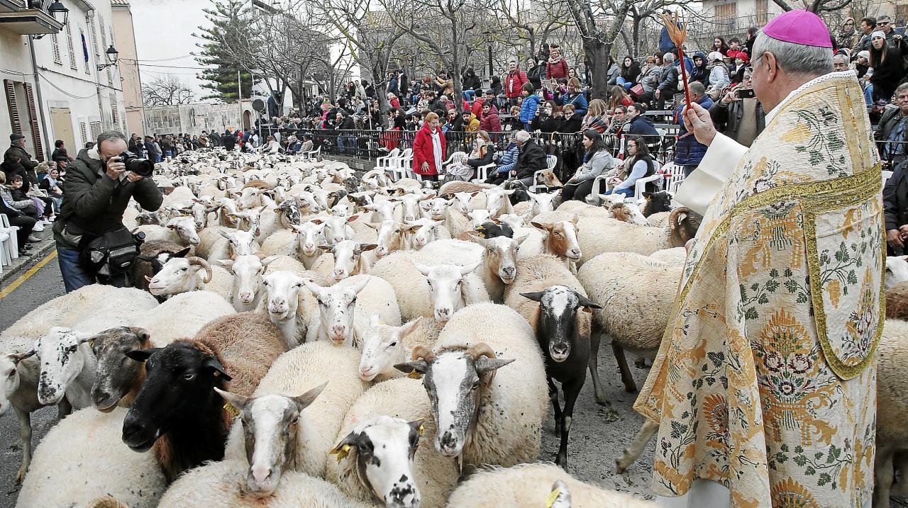 Festes de Sant Antoni 2019