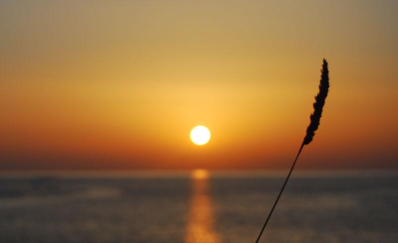 Summer Time