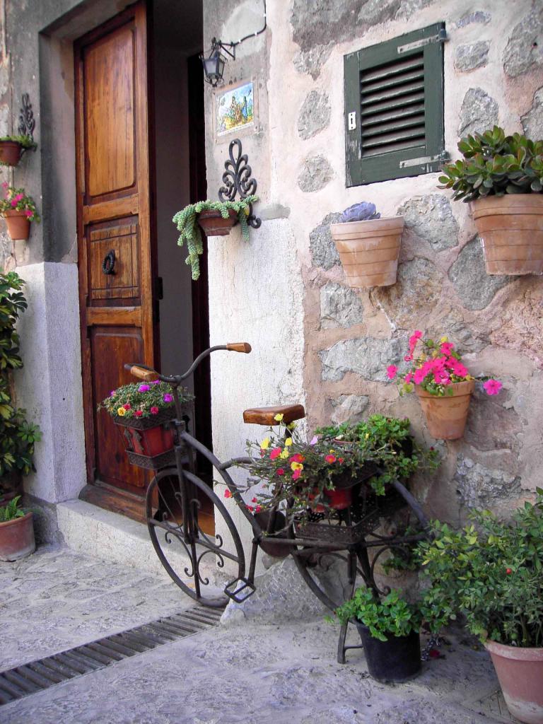 Imagen valldemossina