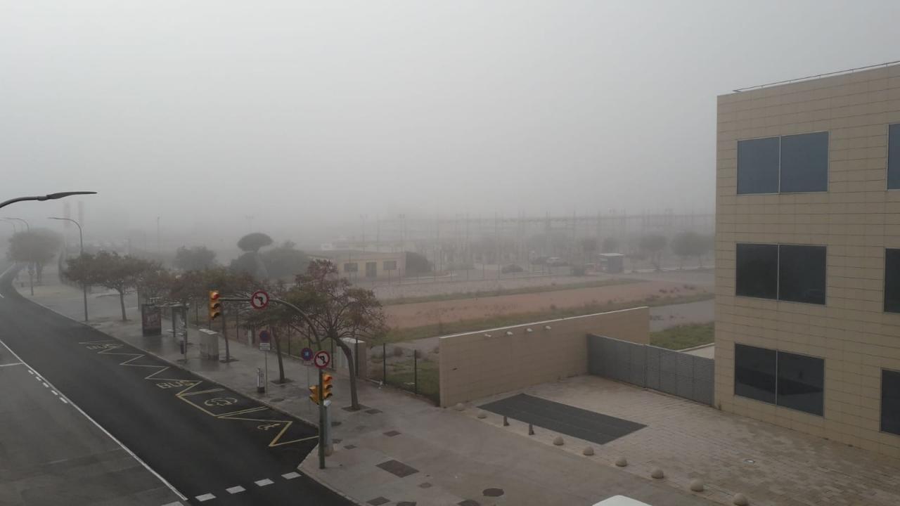 Niebla en Palma