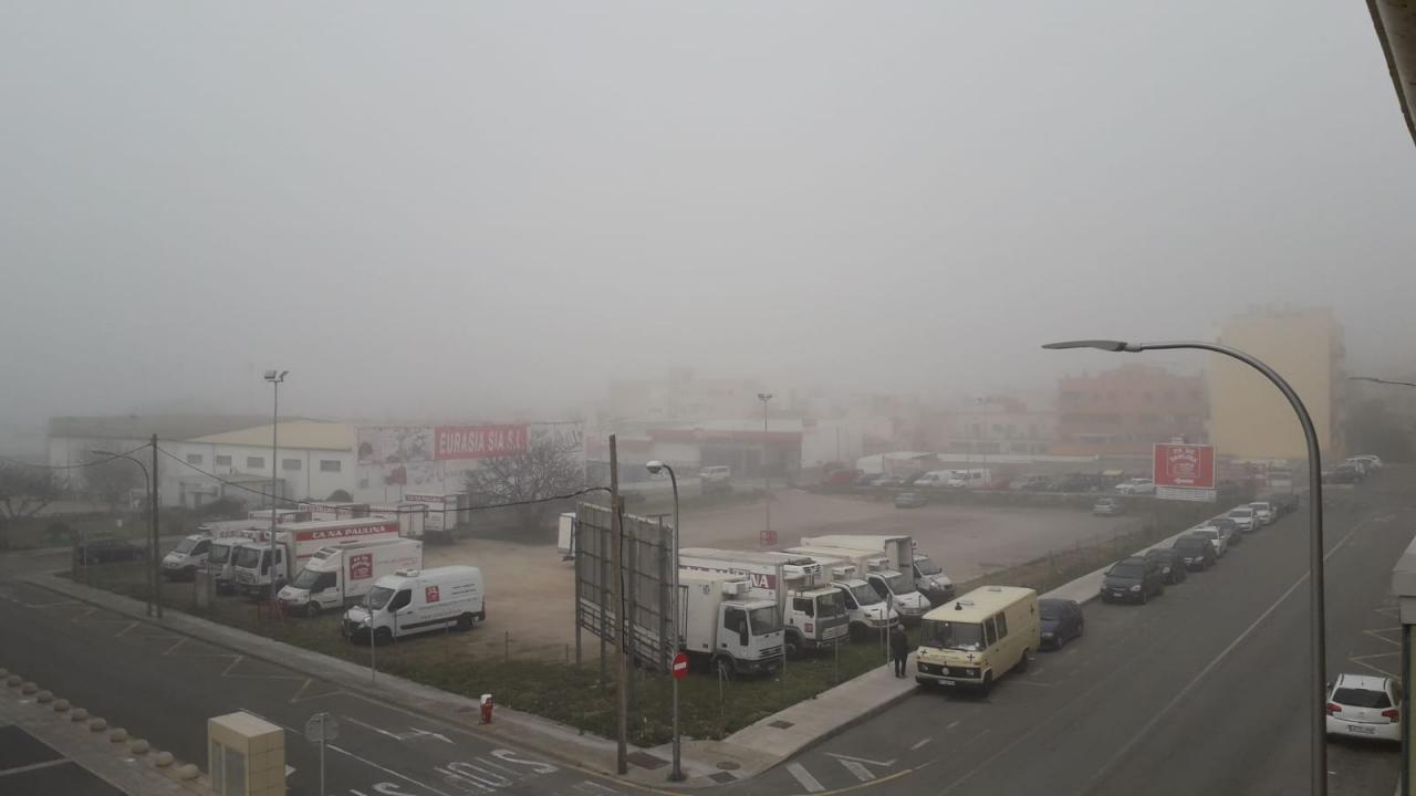 Niebla en Palma