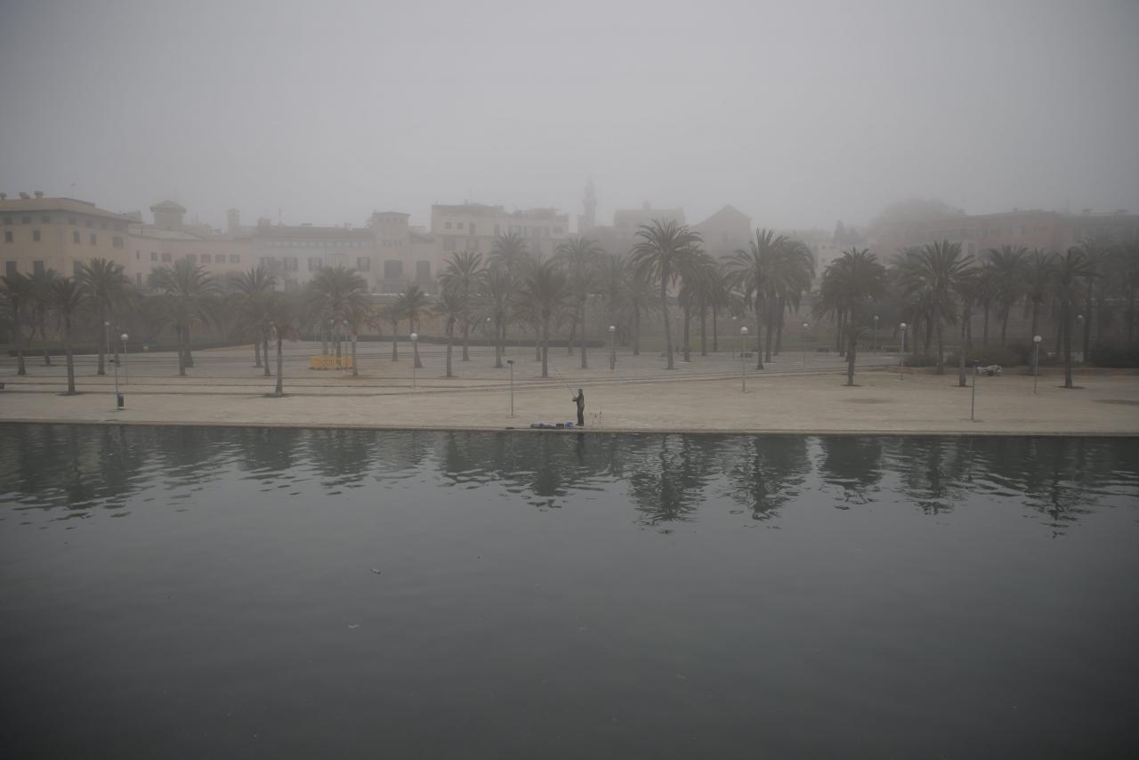 Niebla en Palma