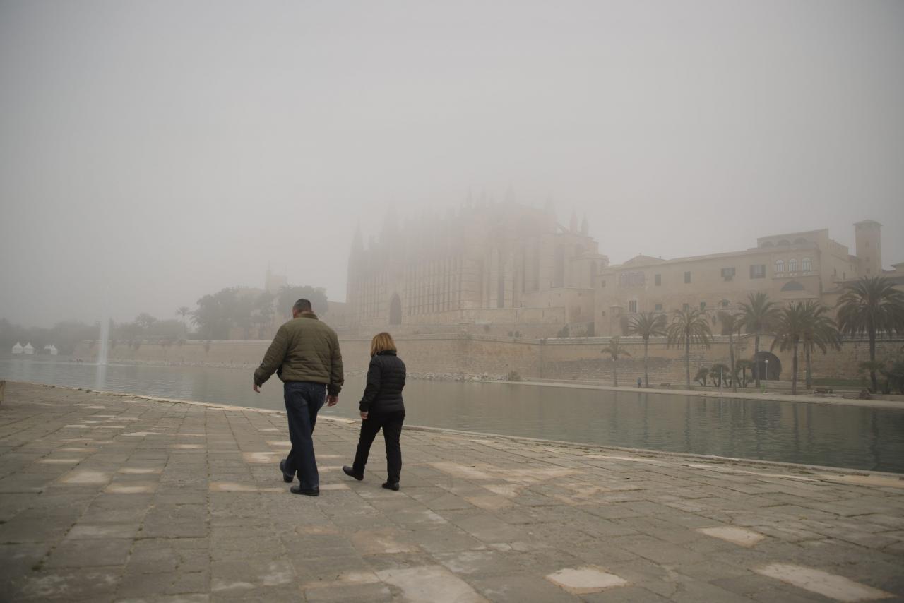 Niebla en Palma