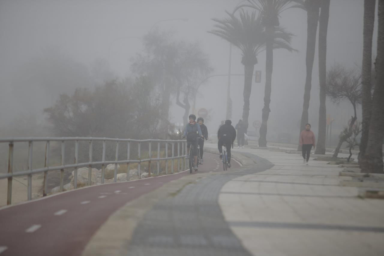 Niebla en Palma