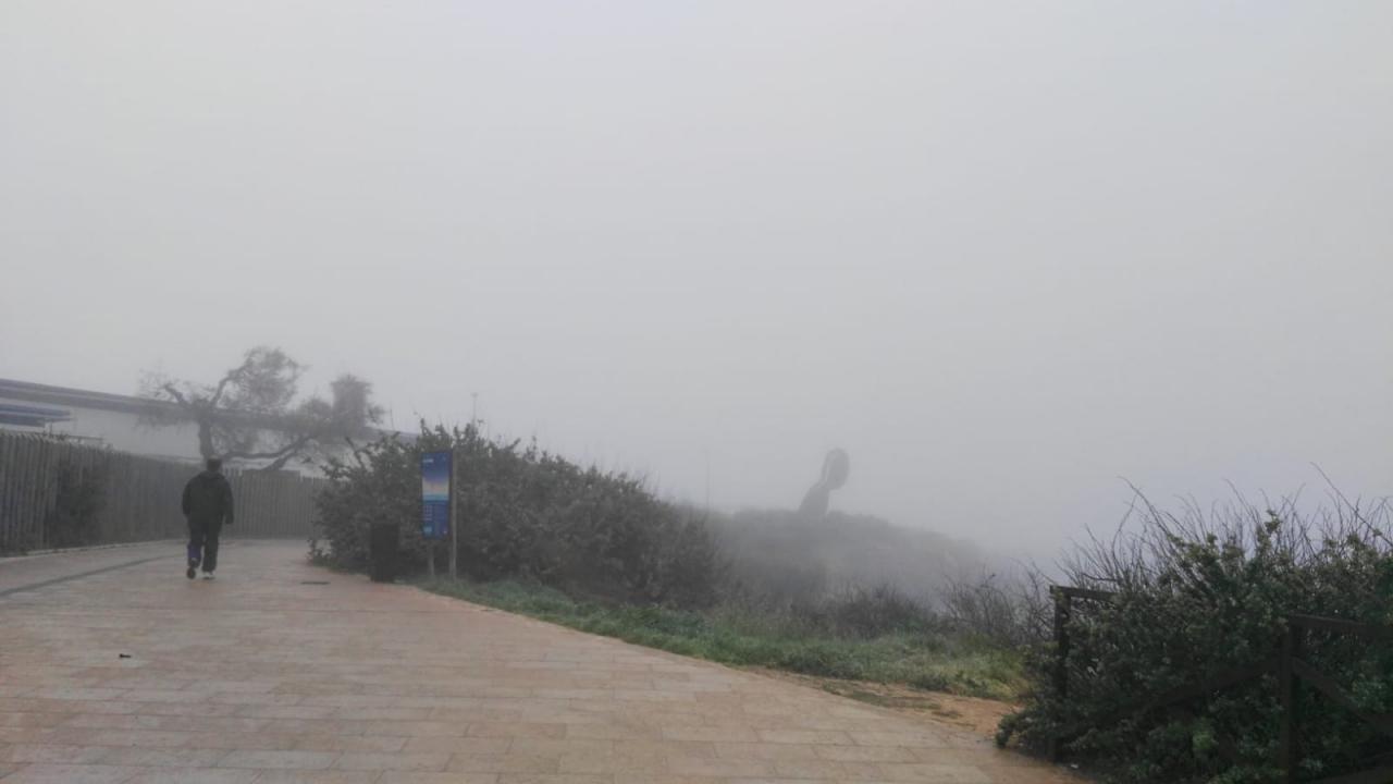 Niebla en Palma
