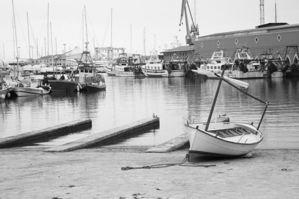 Després de la pesca