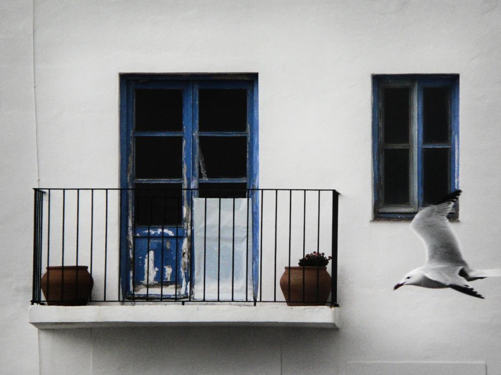 Gavina i balconada