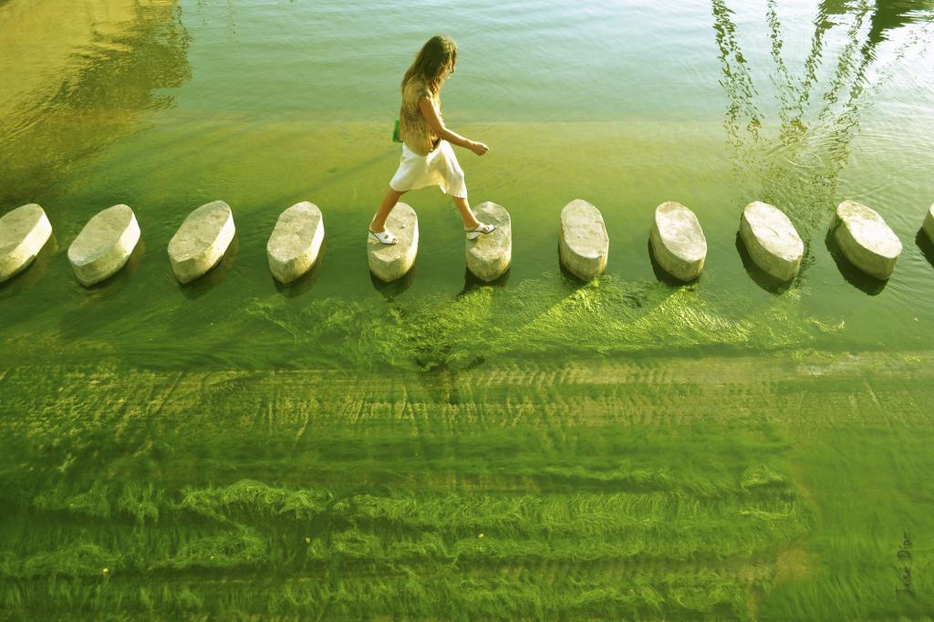 Paso verde
