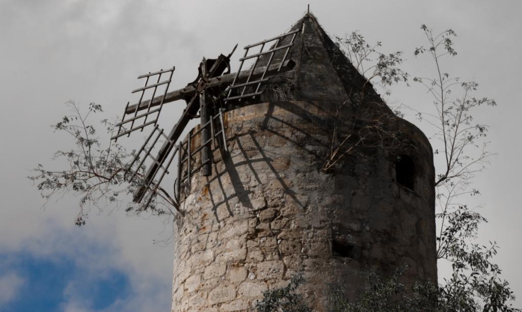 Pasado, Presente y Futuro de Palma de Mallorca