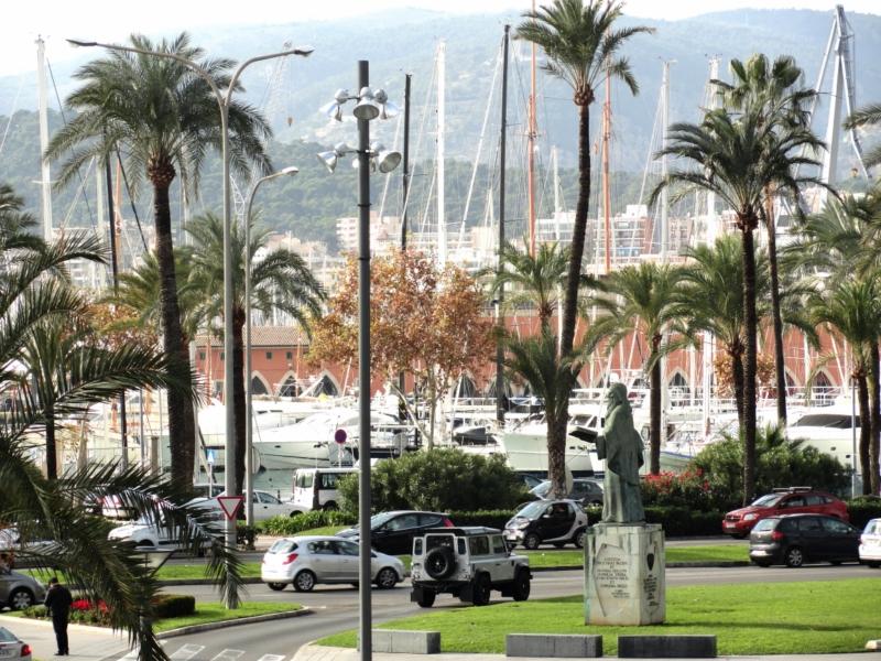 Glamorosa Palma