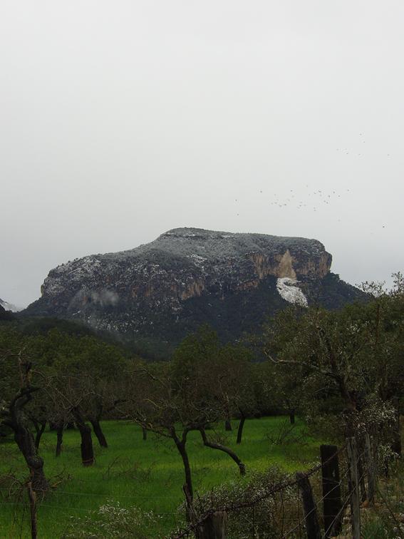 SA PRIMERA NEVADA DE L´ ANY 2012 A LA SERRA DE TRAMUNTANA.