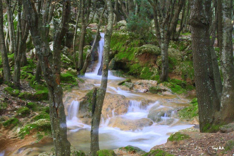 El Salt des Freu