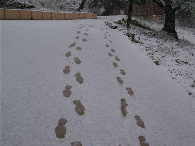 EMPRENTES A LA NEU MARÇ 2010