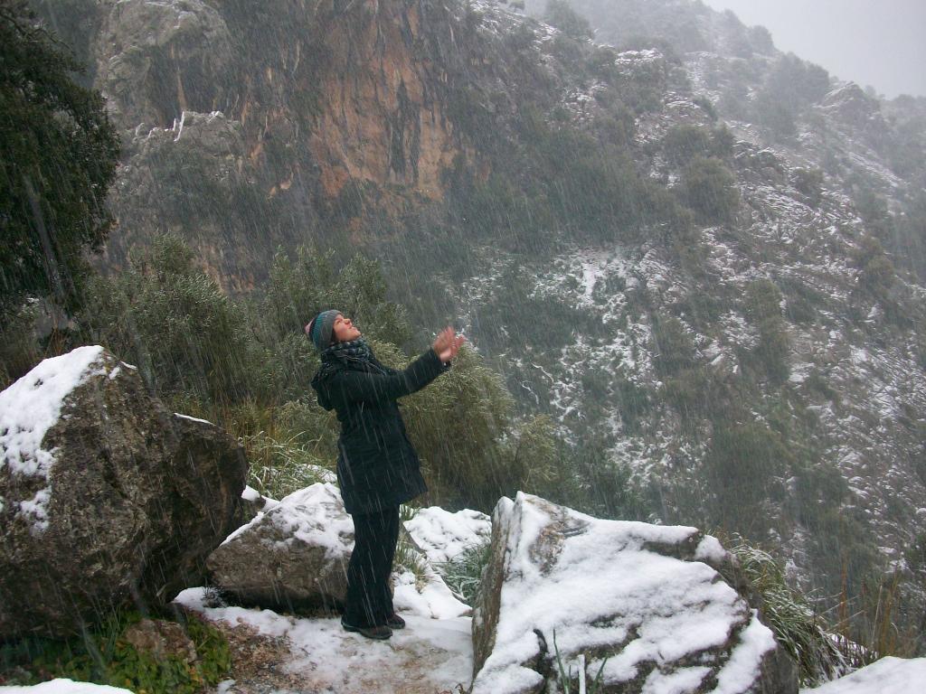 Nieve