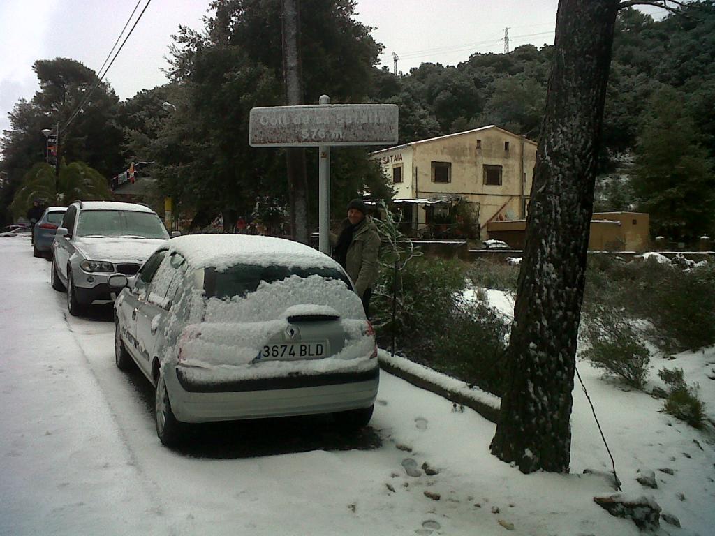 Nieve