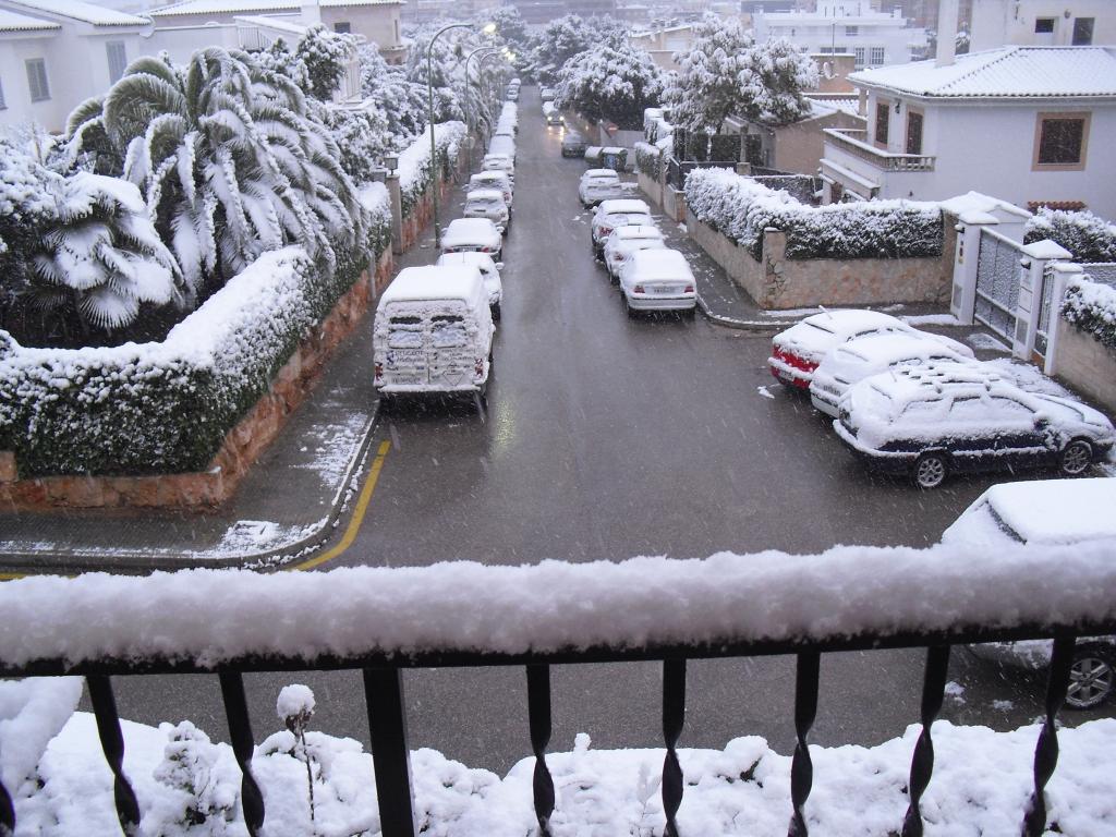 Nieve