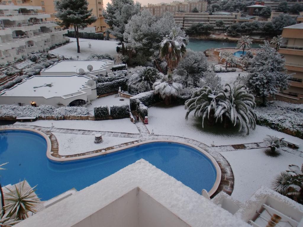 Nieve