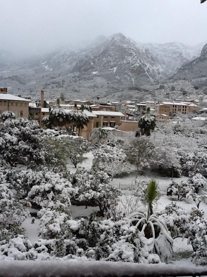 Nieve