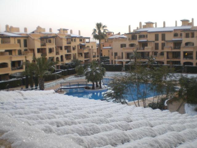 Nieve