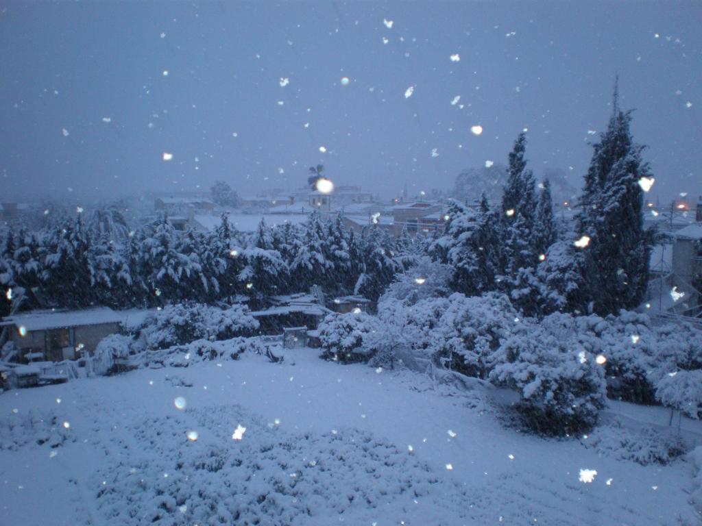 Nieve