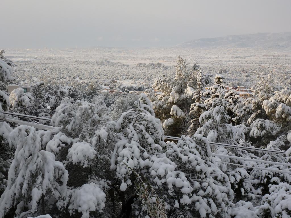 Nieve