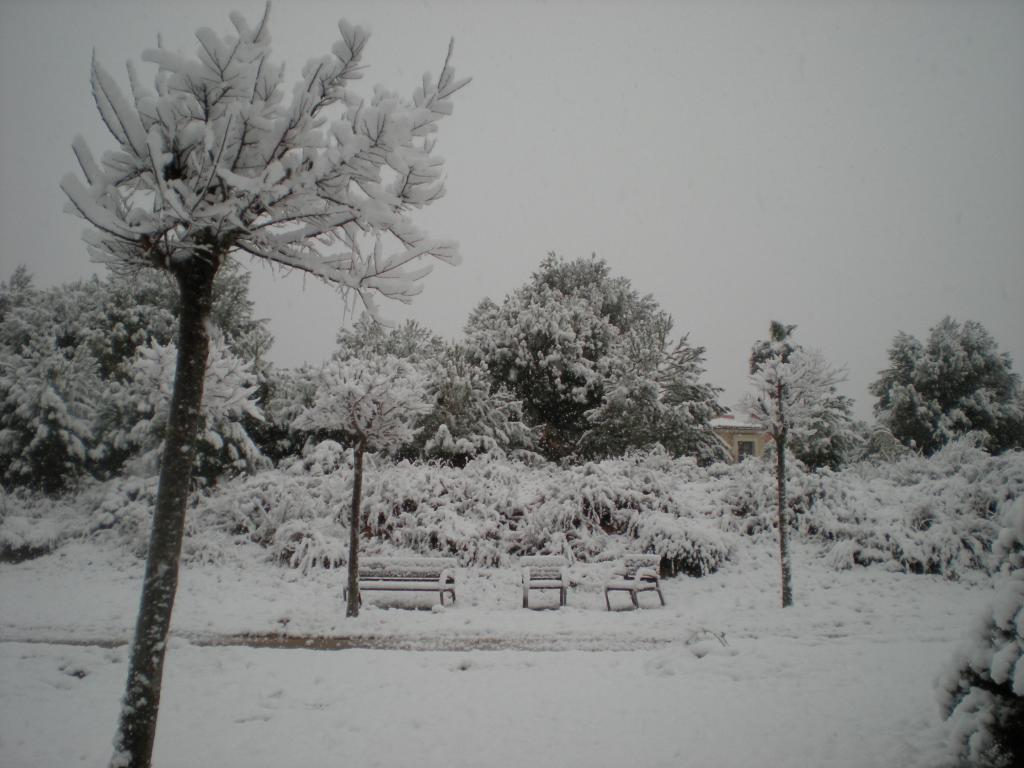 Nieve