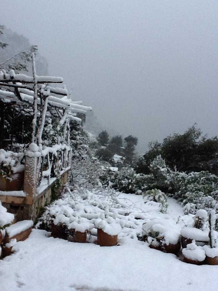 Nieve
