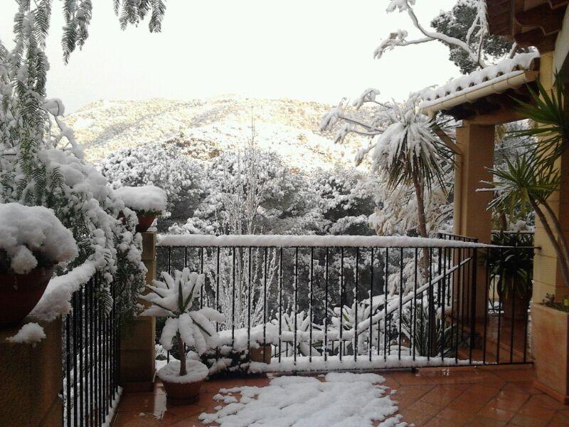 Nieve