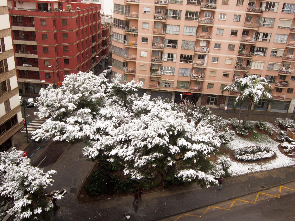 Nieve