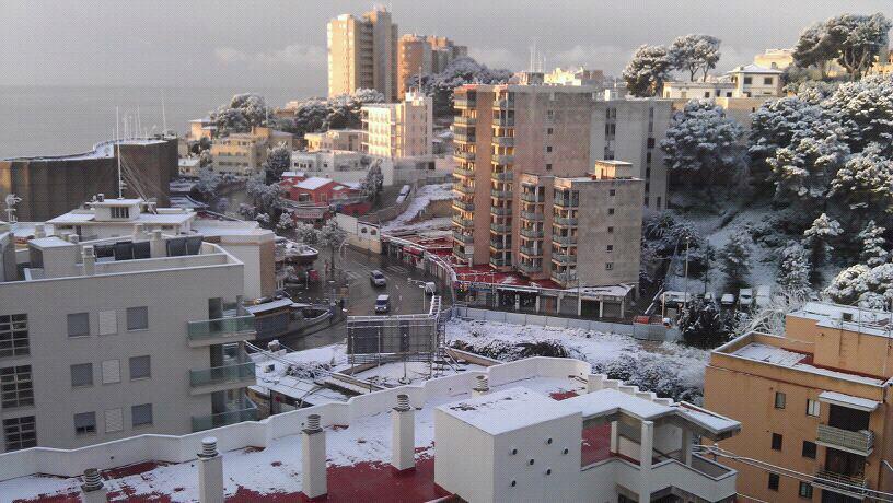 Nieve