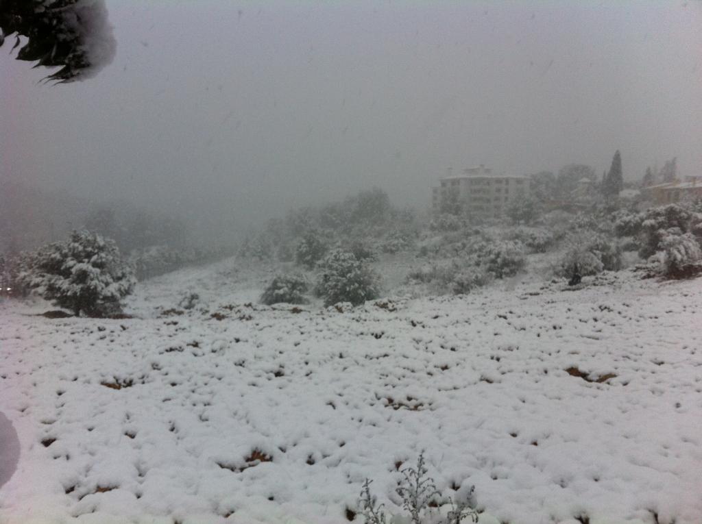 Nieve